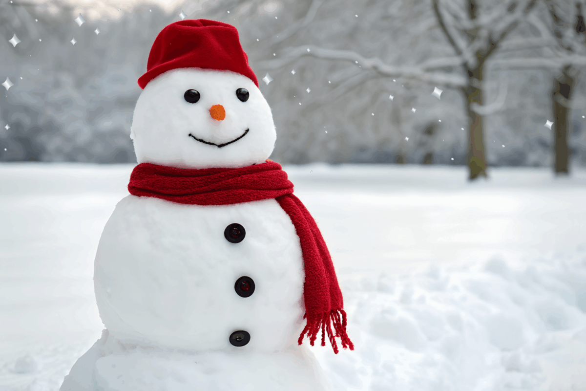 The Everyday Edit: December 2025