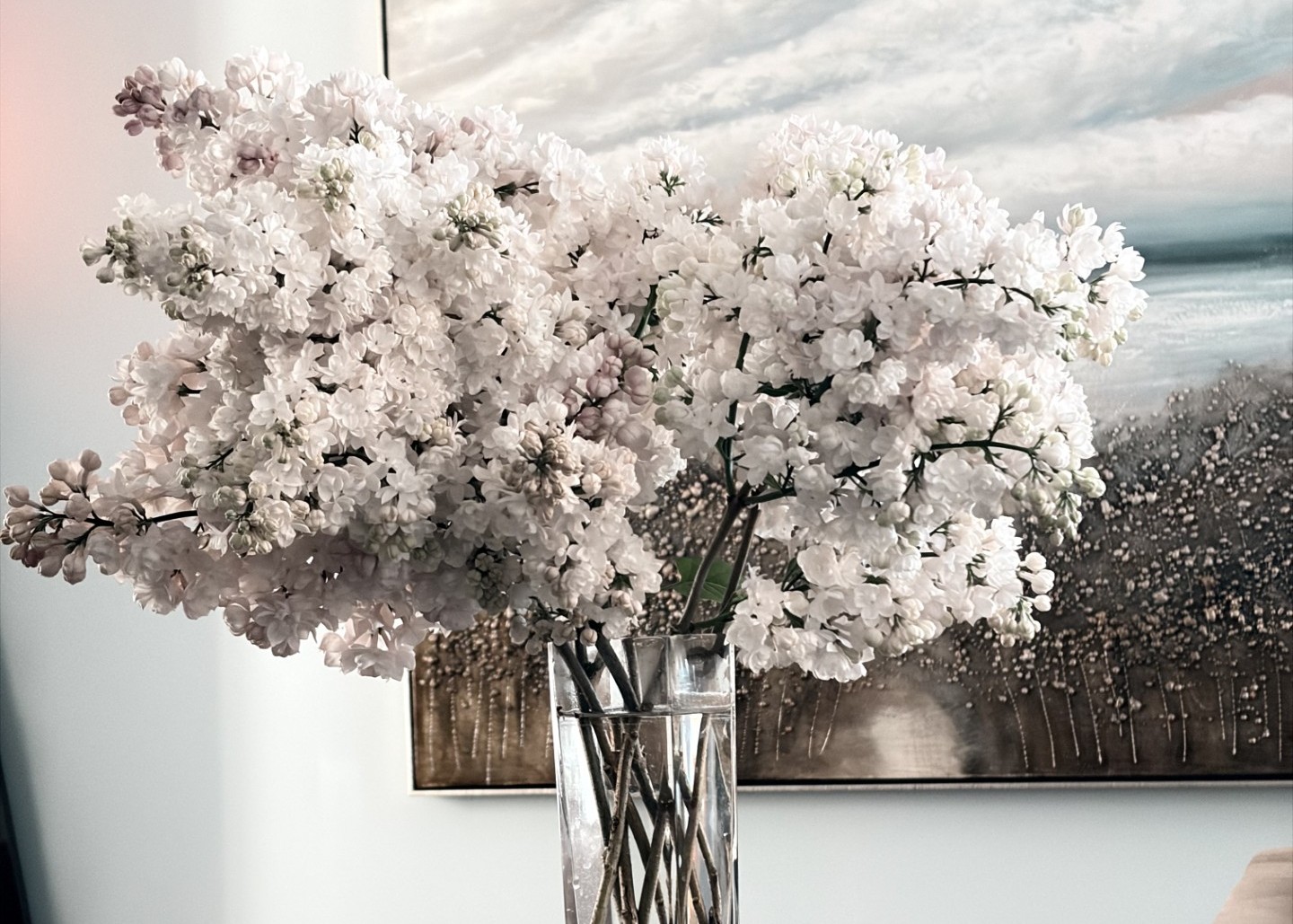 The Everyday Edit: May 2026 1 The Everyday Edit: May 2026