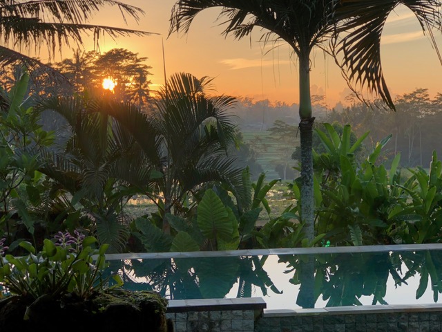 12 Days in Bali: Where I'd Go Back and What I'd Skip 7 Ubud AirBnB